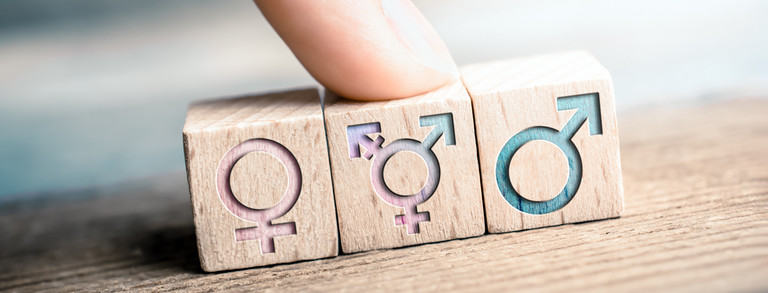 Weibliche, transgender und männliche Icons sind auf 3 Würfeln abgebildet, ein Finger zeigt auf das LGBT-Zeichen.
