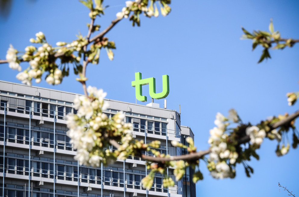 The TU logo of the Mathetower against a cloudless blue sky; a blossoming branch of a cherry tree can be seen slightly out of focus in the foreground.