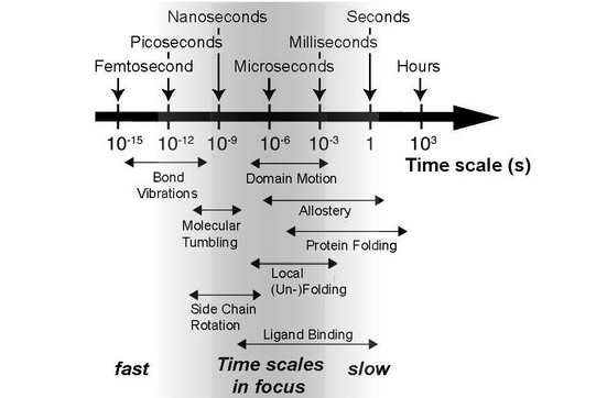 A black and white scale showing different speeds.