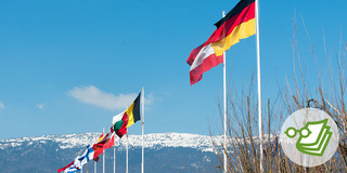 The flags of several European countries are flying in front of a snowy mountain panorama.