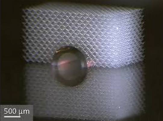 Eine mechanische Tarnkappe vor einer schwammartigen Kunststoff-Struktur.