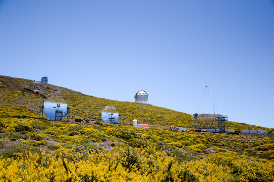 Zwei Teleskope auf einer Wiese vor blauem Himmel.