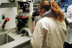 Teilnehmerin trägt einen Kittel und schaut in ein Mikroskop.