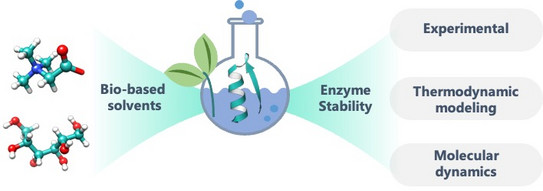 The information graphic illustrates how solvents influence the stability of enzymes and thus make the biocatalysis process more efficient.