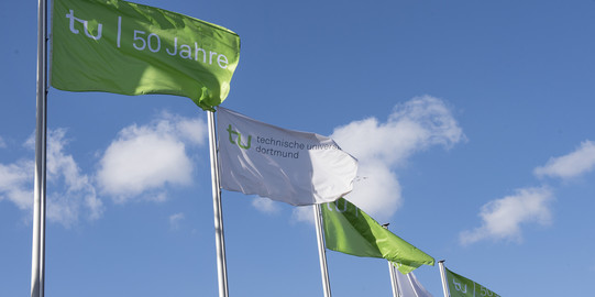 Waving TU-Dortmund flags on several flagpoles against blue sky.