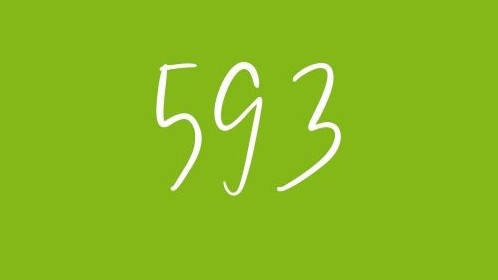 Die Zahl 593 vor grünem Hintergrund