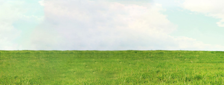 A child plays in a meadow 