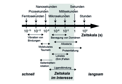 Eine schwarz-weiße Skala, die verschiedene Geschwindigkeiten anzeigt.