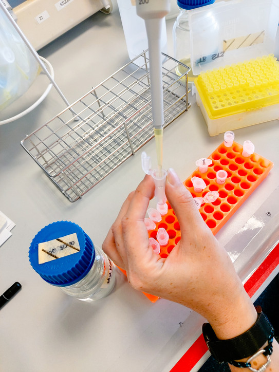Foto vom Pipettieren