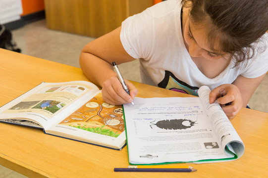 Schülerin lernt in der Schule