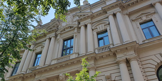 A sandstone-colored old building with large windows from the frog's perspective.