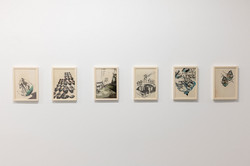 Ausstellung Goldenes Wunder Sechs gerahmte Bilder hängen an einer weißen Wand.