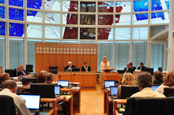 Prof. Gather speaks at a meeting on the Science Master Plan in the Council Chamber.
