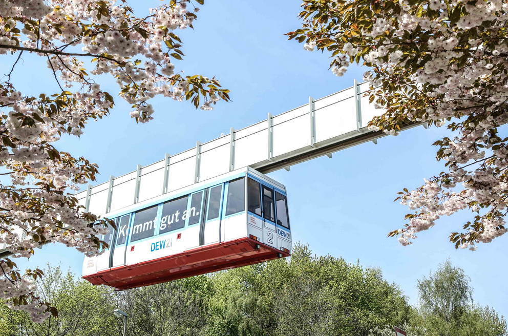 Foto der H-Bahn, umrahmt von blühenden Bäumen