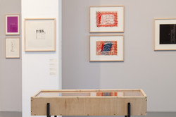 Blick über zwei Ausstellungskästen auf Wand mit 6 Kunstwerken in Rahmen