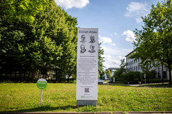 Eine Stele mit vier Gesichtern und viel Text steht auf einer grünen Wiese, im Hintergrund Bäume, Gebäude und blauer Himmel