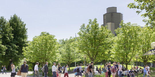 Studierende bewegen sich auf dem Campus.