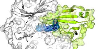 Molecules Different molecules are presented