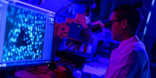 The photo shows a person in a laboratory working at a microscope.