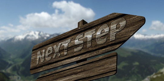 Signpost with inscription "Next Step" in front of mountain landscape