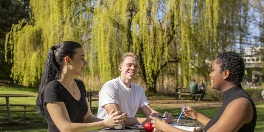 Studierende sitzen gemeinsam am Tisch
