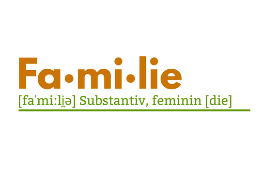 Das Wort 'Fa·mi·lie' in brauner Schrift mit Lautschrift '[faˈmiːli̯ə]' und der grammatischen Angabe 'Substantiv, feminin [die]' darunter, unterstrichen.