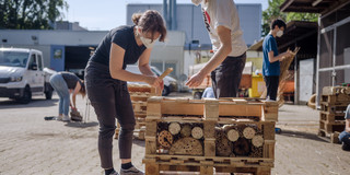 Insektenhotels Aufbau Eine Frau und ein Mann bauen aus Holzplatten ein Insektenhotel.