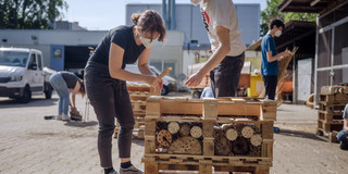 Eine Frau und ein Mann bauen aus Holzplatten ein Insektenhotel.