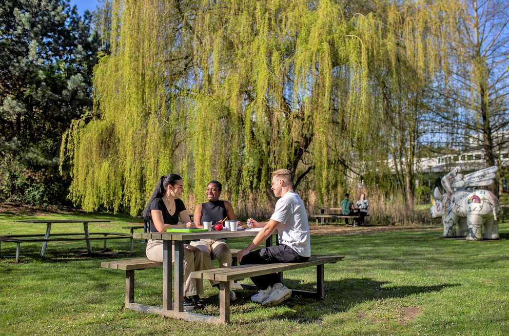 Drei Studierende sitzen an einem Sommertag auf einer Wiese mit Bäumen an einem Tisch.