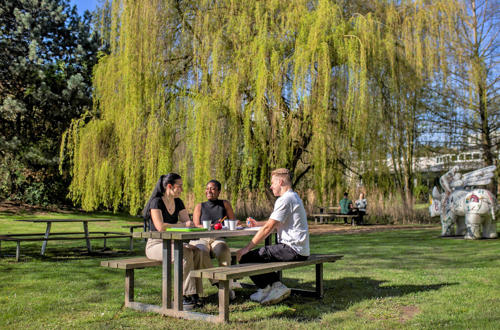Studierende auf dem Campus Drei Studierende sitzen an einem Sommertag auf einer Wiese mit Bäumen an einem Tisch.