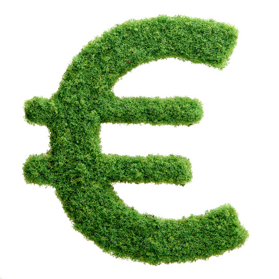 Ein grünes aus Rasen Euro-Zeichen auf weißem Hintergrund.