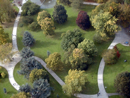 Westfalenpark von oben Luftaufnahme von Gehwegen zwischen Bäumen und Wiesen im Westfalenpark.