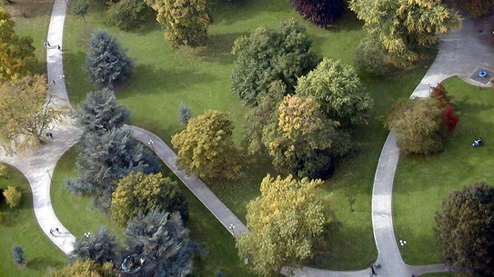 Luftaufnahme von Gehwegen zwischen Bäumen und Wiesen im Westfalenpark.