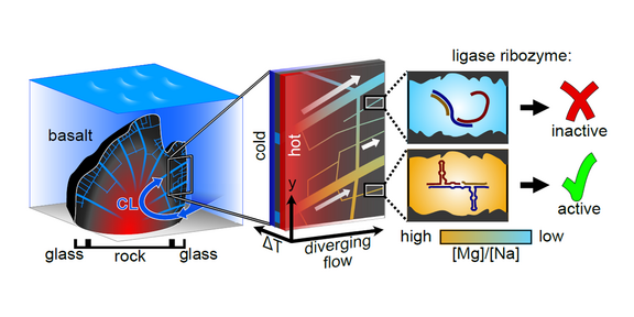 Grafik: Magnesiumionen reichern sich in den Spalten im Basalt-Glas stark an