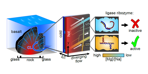 Graphic: Magnesium ions accumulate strongly in the crevices in the basalt glass