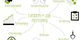 Illustration einer Mindmap mit den Wörtern Tandem, Job, Mentoring in der Mitte