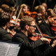 Ein Musiker mit Geige des Studentenorchesters der TU Dortmund im Fokus