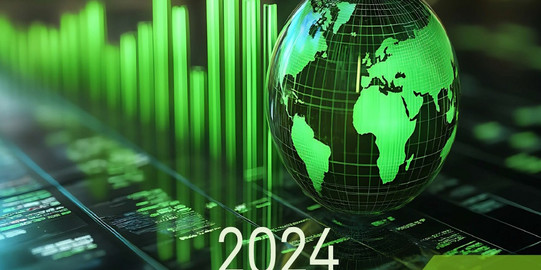 Deckblatt der Veröffentlichung "Zahlen, Daten, Fakten 2024"