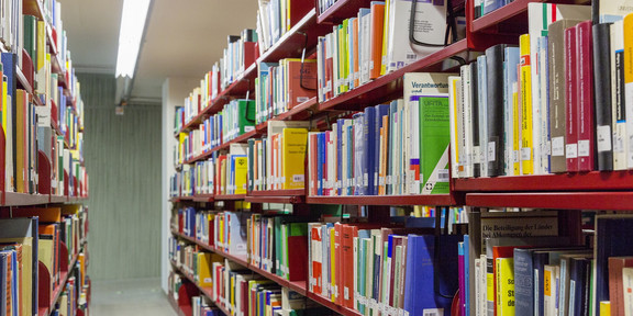 Bookshelves in the University Library