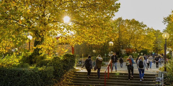 Eine Treppe und ein Gehweg auf dem Campus, auf dem Studierende in beiden Richtungen unterwegs sind.