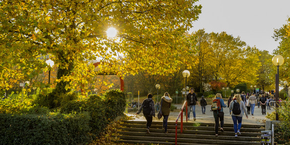 A staircase and a walkway on campus where students travel in both directions.