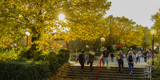 A staircase and a walkway on campus where students travel in both directions.