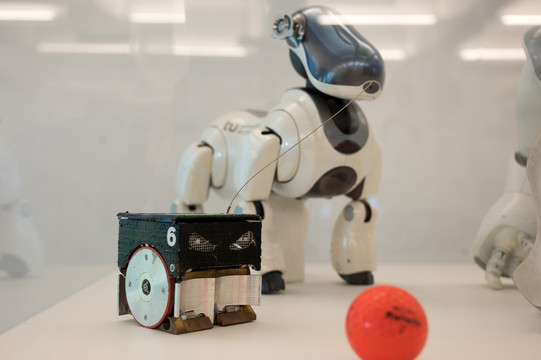 Ein Roboter, in der Gestalt eines Hundes