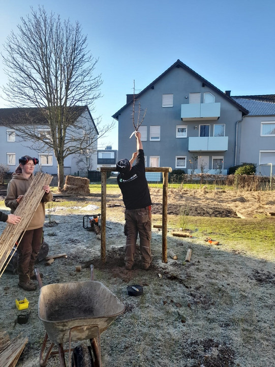 Foto: Personen pflanzen einen jungen Baum und arbeiten an einer Holzstruktur auf einem frostigen Grundstück vor Wohnhäusern.