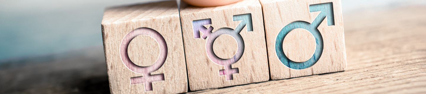Weibliche, transgender und männliche Icons sind auf 3 Würfeln abgebildet, ein Finger zeigt auf das LGBT-Zeichen.