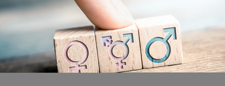 Weibliche, transgender und männliche Icons sind auf 3 Würfeln abgebildet, ein Finger zeigt auf das LGBT-Zeichen.