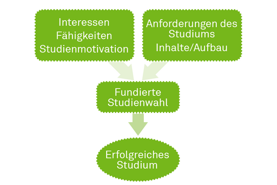 Grafik zur fundierten Studienwahl.