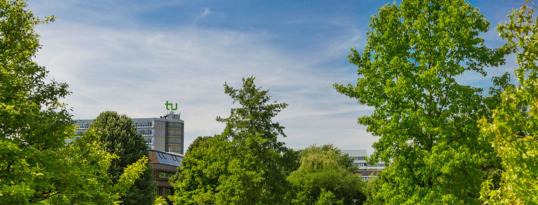 Bäume und Mathetower im Hintergrund