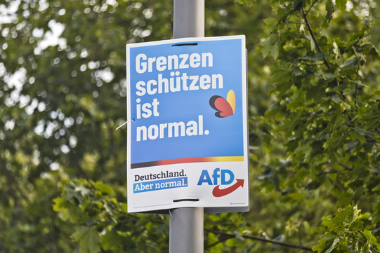 Ein Wahlplakat der Partei AfD an einem Laternenpfahl. 