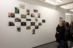 Foto: Mehrere Personen schauen sich eine Fotowand an.